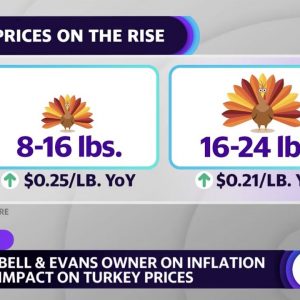 Inflation: 'What is really changing the cost is labor and energy,' Bell & Evans owner says