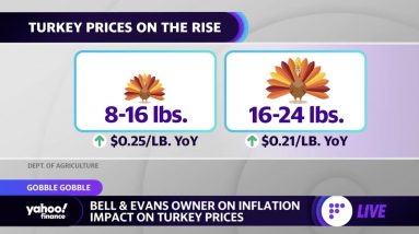 Inflation: 'What is really changing the cost is labor and energy,' Bell & Evans owner says