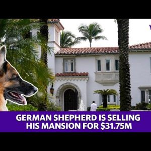 A German Shepherd is selling his mansion for $31.75M