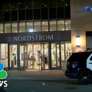 After Flurry Of Smash-And-Grab Thefts, Malls Increase Security