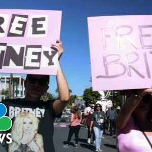 Britney Spears Fans React To Conservatorship Decision Outside Courthouse | NBC News