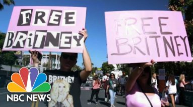 Britney Spears Fans React To Conservatorship Decision Outside Courthouse | NBC News