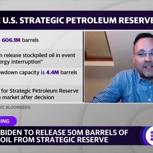 Biden releasing oil from reserves 'sets a bad precedent': Energy analyst