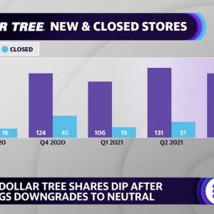 Dollar Tree stock falls after Goldman Sachs downgrade