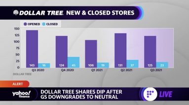 Dollar Tree stock falls after Goldman Sachs downgrade