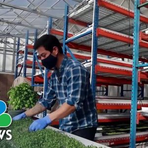 Farmer Using Greenhouse Tech To Feed His Community