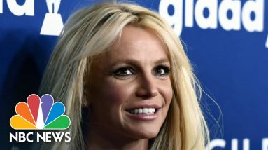 Judge Terminates Conservatorship Over Britney Spears