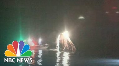 SpaceX Crew-2 Splashes Down Off Florida Coast