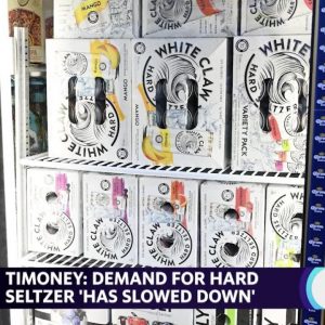 The hard seltzer category ‘has slowed down’: Heineken USA CEO