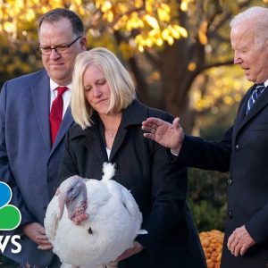 'Turkey Is Infrastructure': Biden Pardons National Thanksgiving Turkey