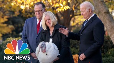 'Turkey Is Infrastructure': Biden Pardons National Thanksgiving Turkey