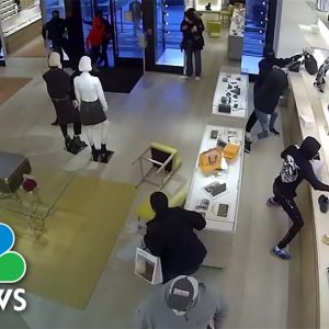 WATCH: Video Shows 14 Suspects Raid Chicago Louis Vuitton Store