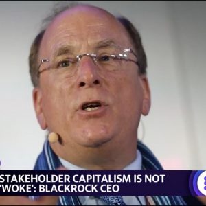 BlackRock CEO defends stakeholder capitalism, carbon transition