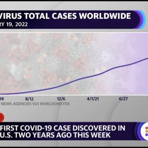 Coronavirus: 'There's still a lot more that the government could be doing,' virologist says