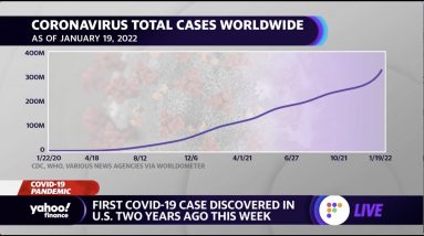 Coronavirus: 'There's still a lot more that the government could be doing,' virologist says