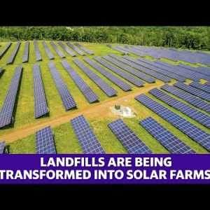 Landfills have become sites of renewable energy production after being transformed into solar farms