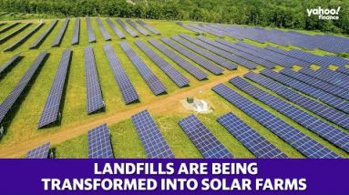 Landfills have become sites of renewable energy production after being transformed into solar farms