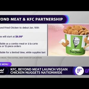 KFC and Beyond Meat executives detail the launch of vegan fried chicken