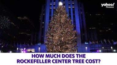 How much does the Rockefeller Center tree cost?