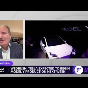 Tesla’s Austin factory is the ‘golden jewel’ in its supply ecosystem: Analyst