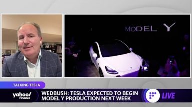 Tesla’s Austin factory is the ‘golden jewel’ in its supply ecosystem: Analyst