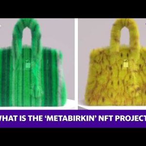 NFT artist: What is the ‘MetaBirkin’ NFT project?