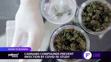 Cannabis compounds may prevent COVID infection, Microsoft hires Apple chip veteran, TPG prices IPO